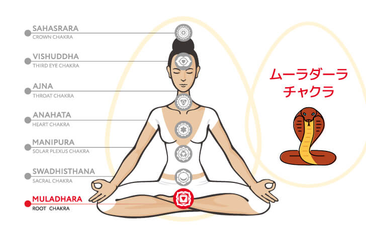 アナンタはムーラダーラ・チャクラの象徴
