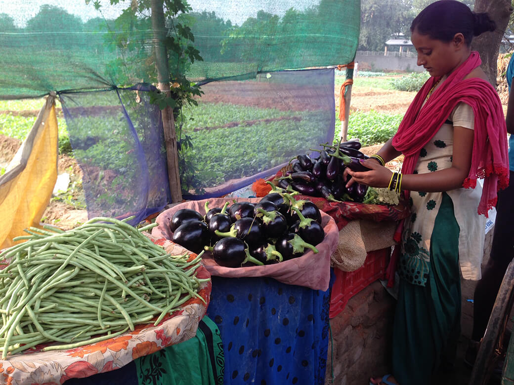 新鮮な野菜のマーケット