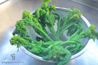 茹でた菜の花の粗熱をとる