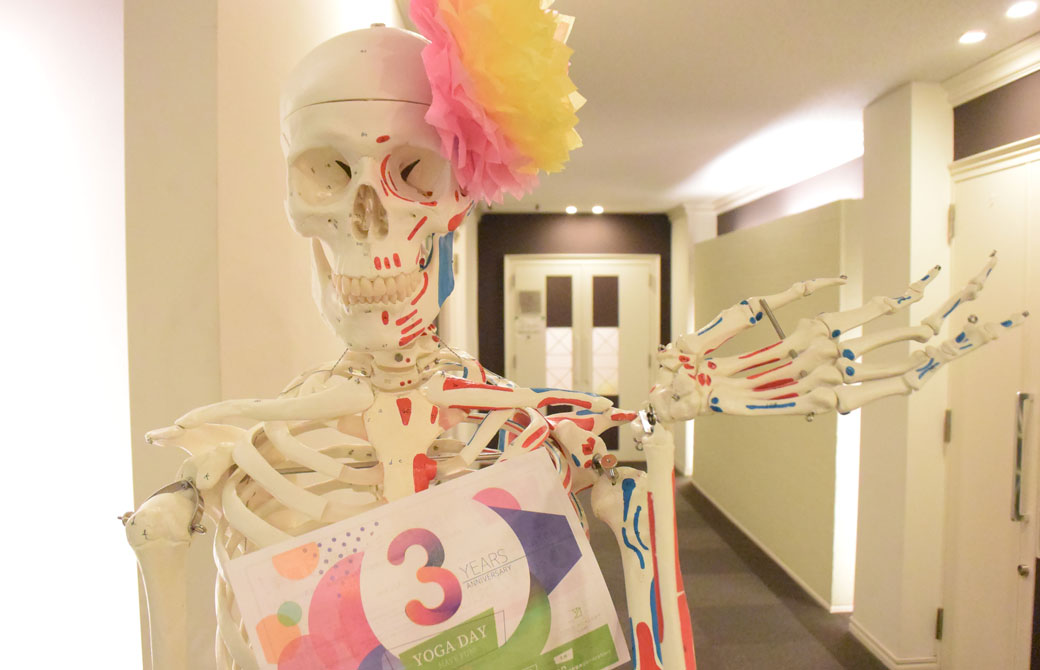 ヨガアカデミー大阪のジョセフィーヌという骨模型