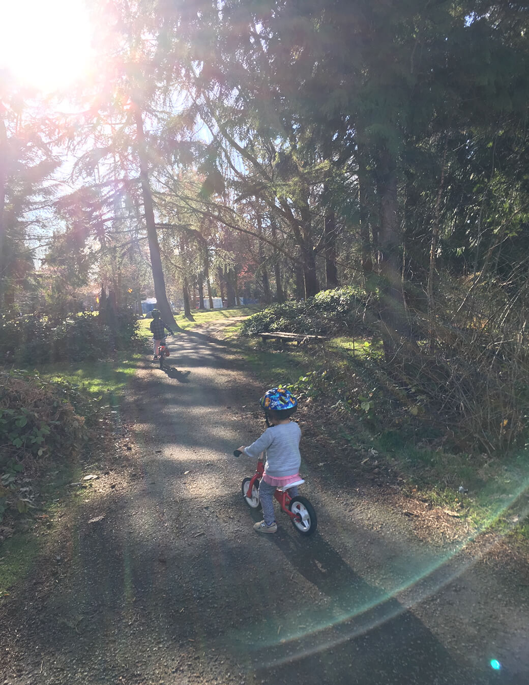 カナダの自然の中で遊ぶ子どもたち