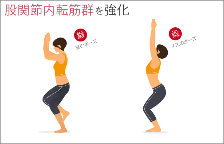 股関節内転筋群を強化