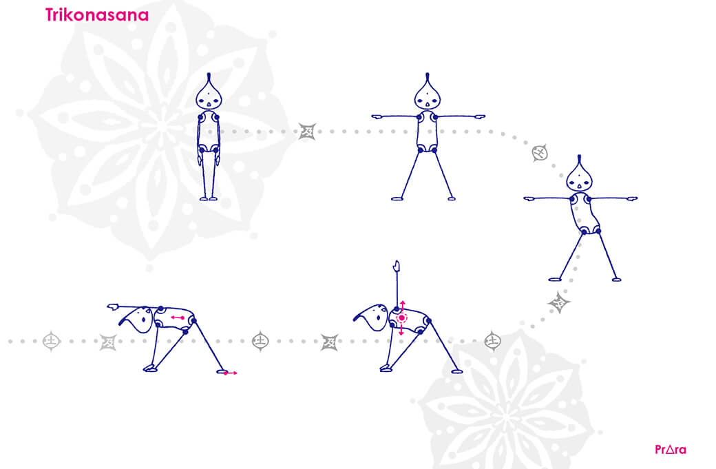 5月のオススメアーサナは「トリコナーサナ」