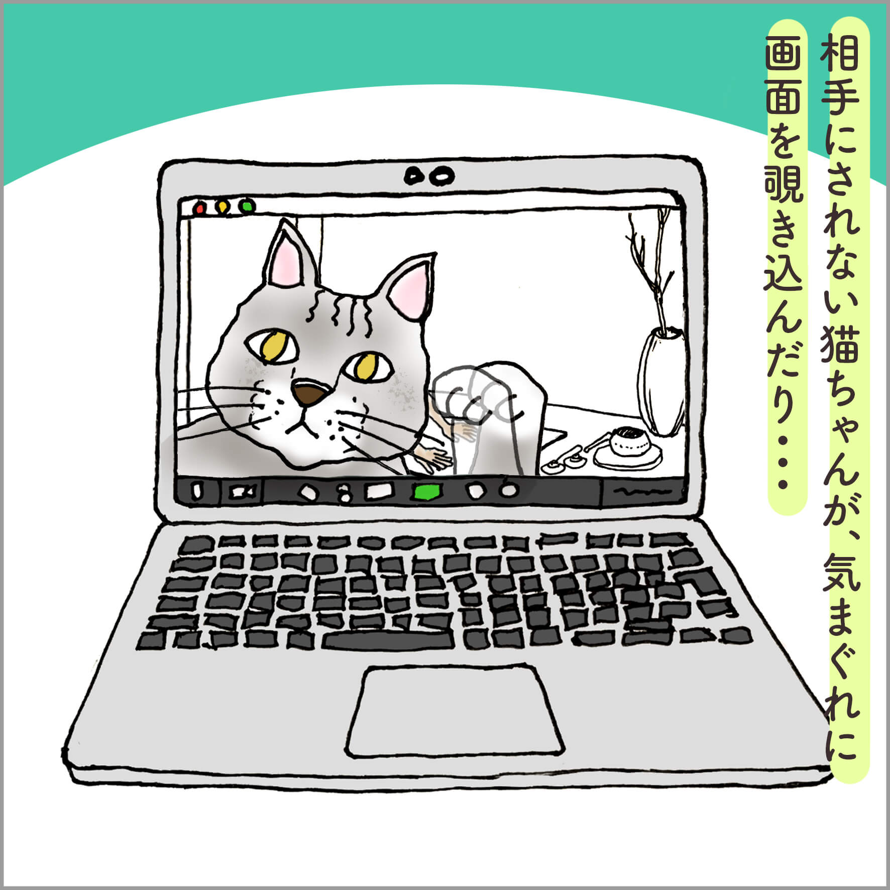PCの画面に映る猫の大きな顔