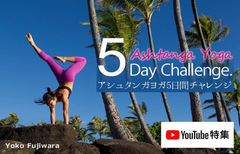 ヨーコ・フジワラ5日間チャレンジ