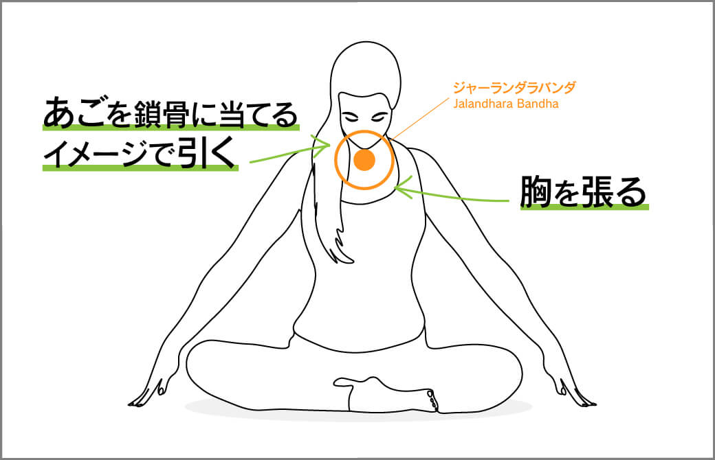 ジャーランダラバンダは骨格、筋肉を心地よく整える