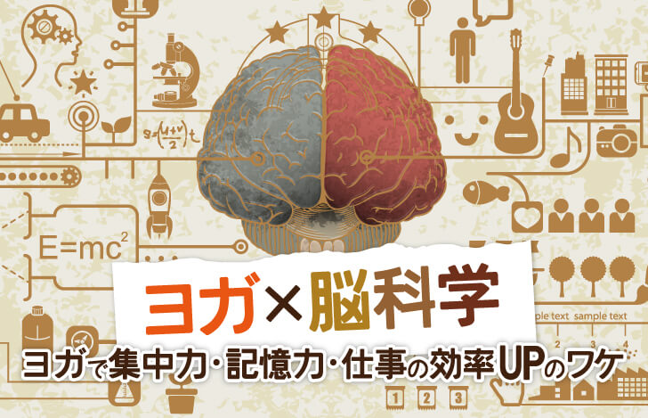 ヨガ×脳科学：ヨガで集中力・記憶力・仕事の効率UPのワケ