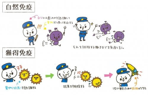 免疫