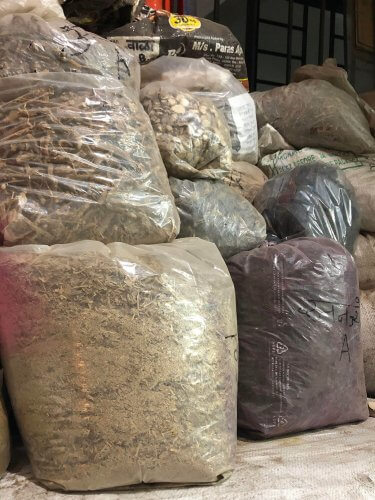 インドではこんなにたくさんの薬草を目にるすことができる