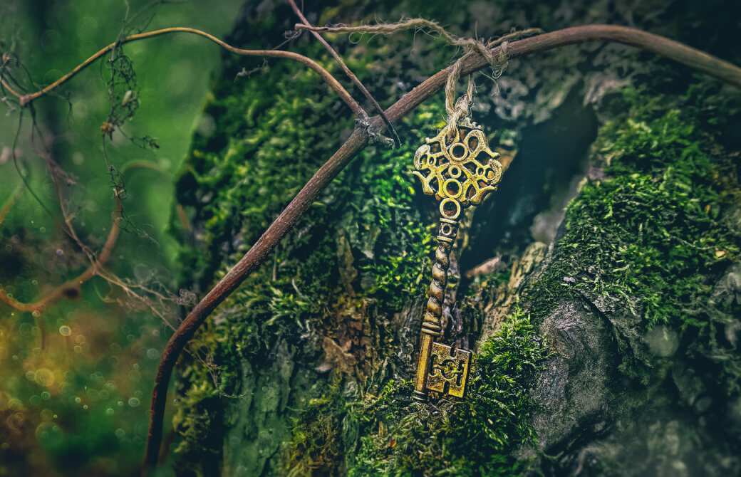 苔の生えた木の幹に鍵がついている写真