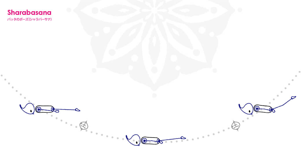 シャラバーサナ（バッタのポーズ）