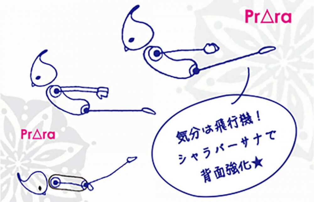 シャラバーサナで背面強化! 基本型からバリエーションポーズまでご紹介