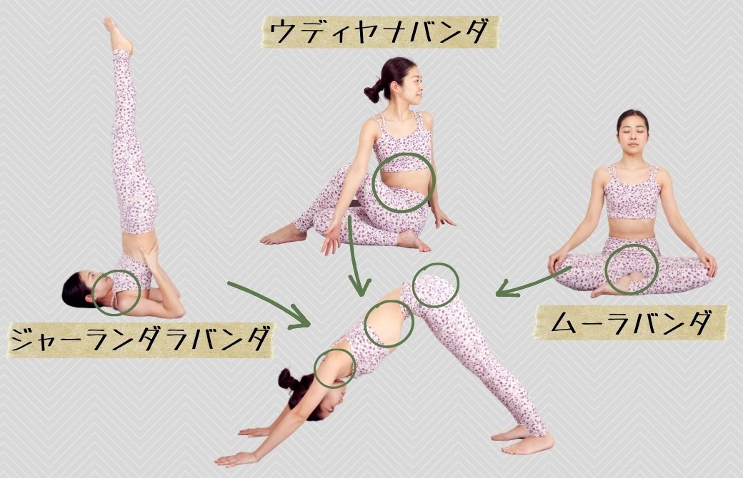 バンダのお話(アーサナ)