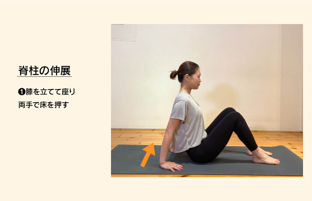 脊柱の伸展エクササイズ