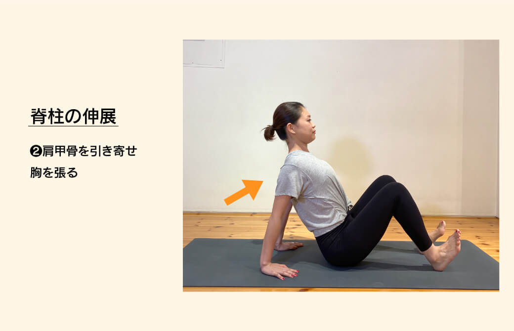 脊柱の伸展エクササイズ