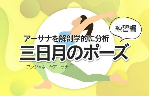 解剖学でアーサナを徹底分析！三日月のポーズ【練習編】