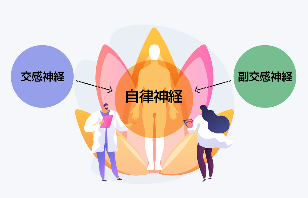 副交感神経でリラックス効果