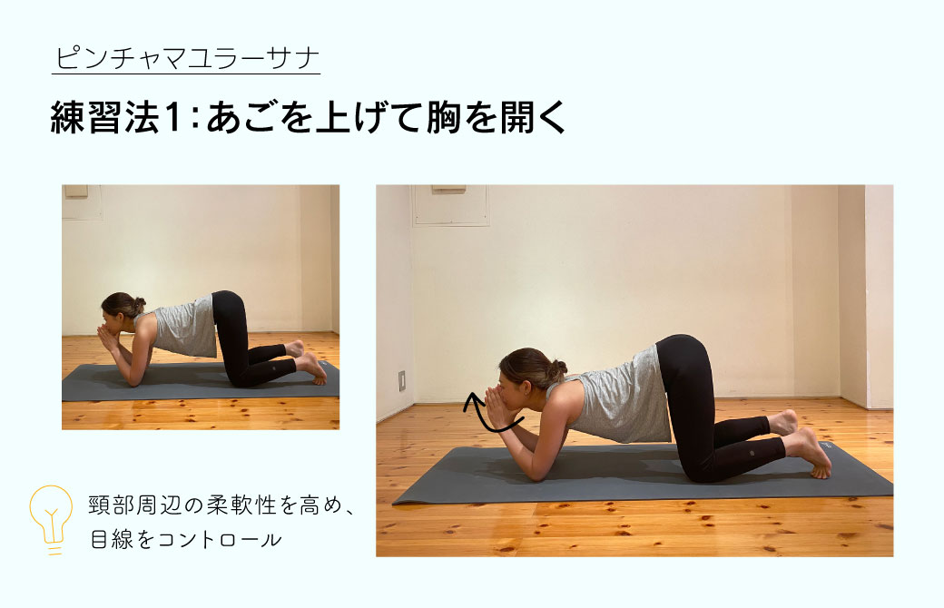 ピンチャマユラーサナ練習法1：あごを上げて胸を開く