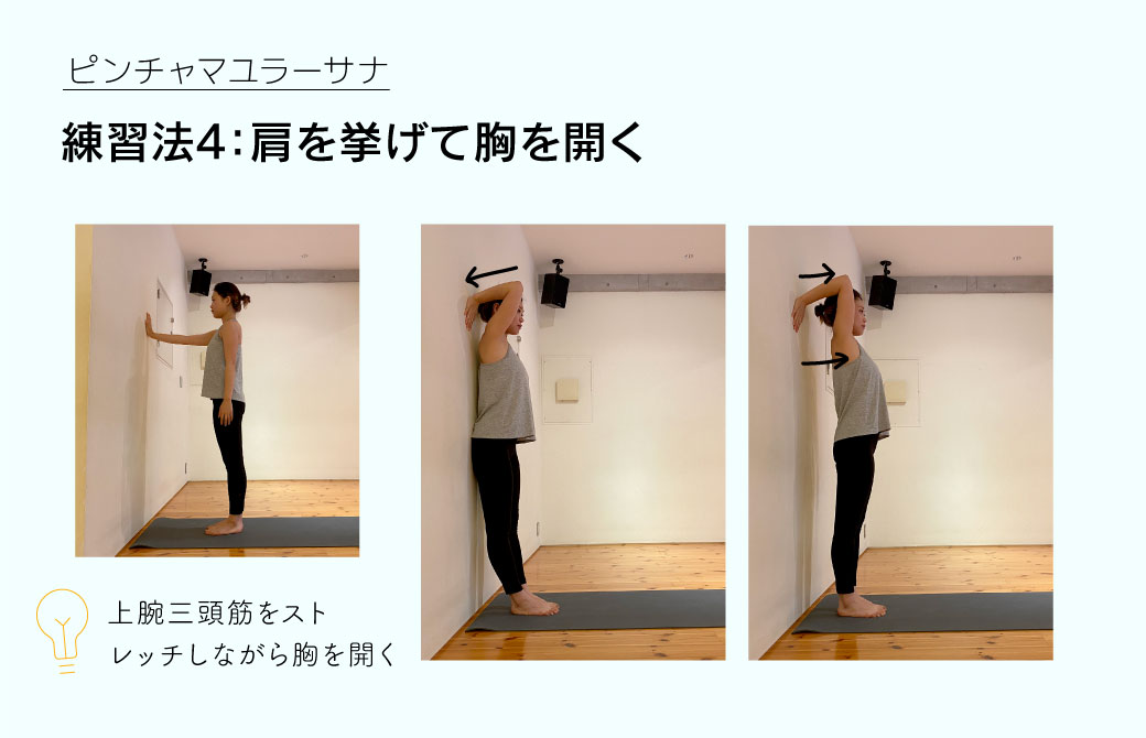 ピンチャマユラーサナ練習法4：肩を挙げて胸を開く