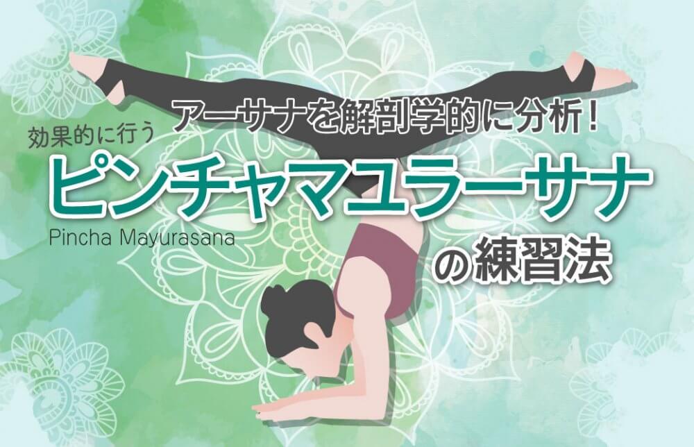 アーサナを解剖学的に分析！効果的に行うピンチャマユラーサナの練習法