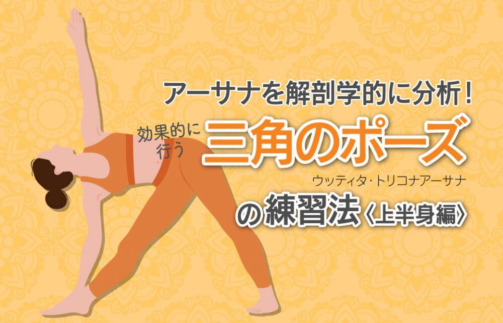 アーサナを解剖学的に分析！効果的に行う“三角のポーズ”の練習・上半身編