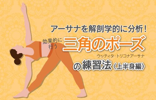 アーサナを解剖学的に分析！効果的に行う“三角のポーズ”の練習・上半身編