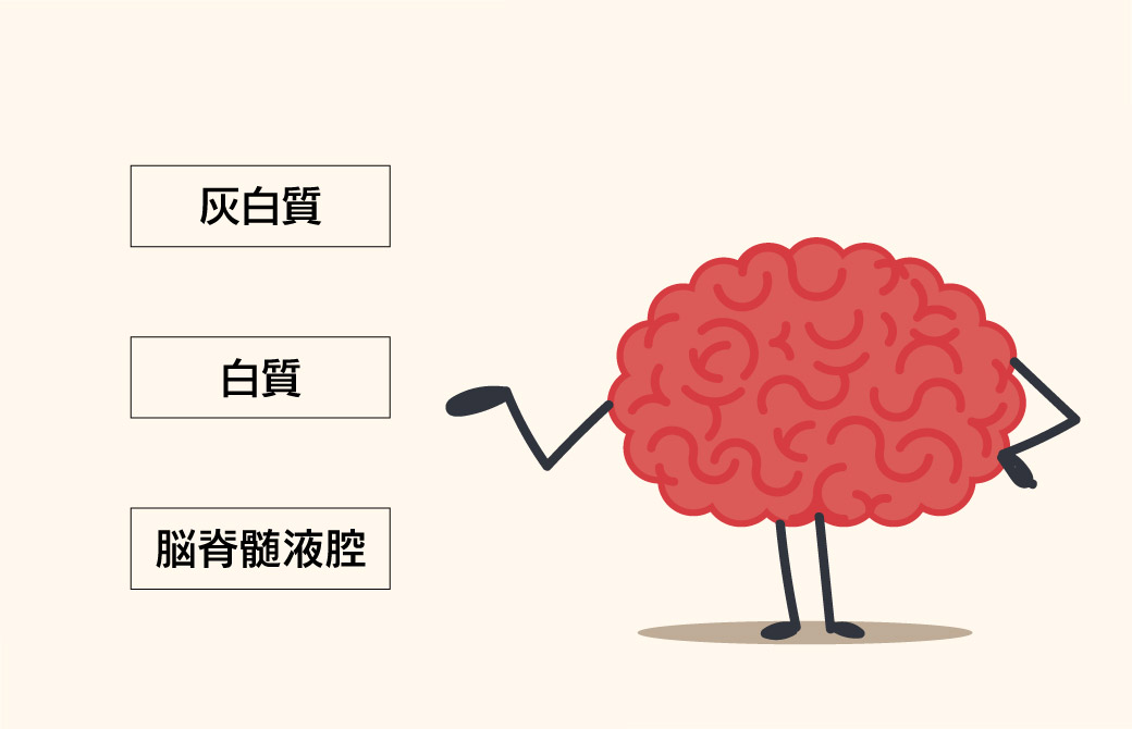 脳の老化は20代から!?