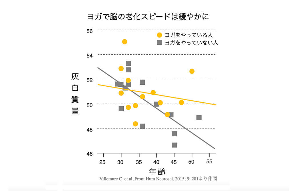 ヨガをやる人とそうでない人の灰白質量を比較した研究