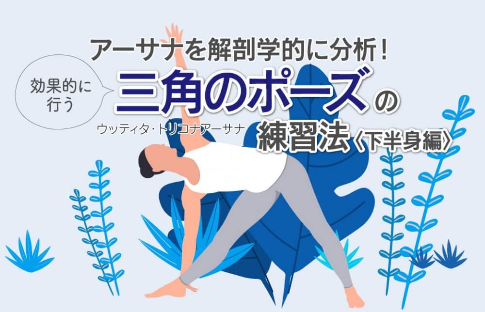 アーサナを解剖学的に分析！効果的に行う“三角のポーズ”の練習・下半身編