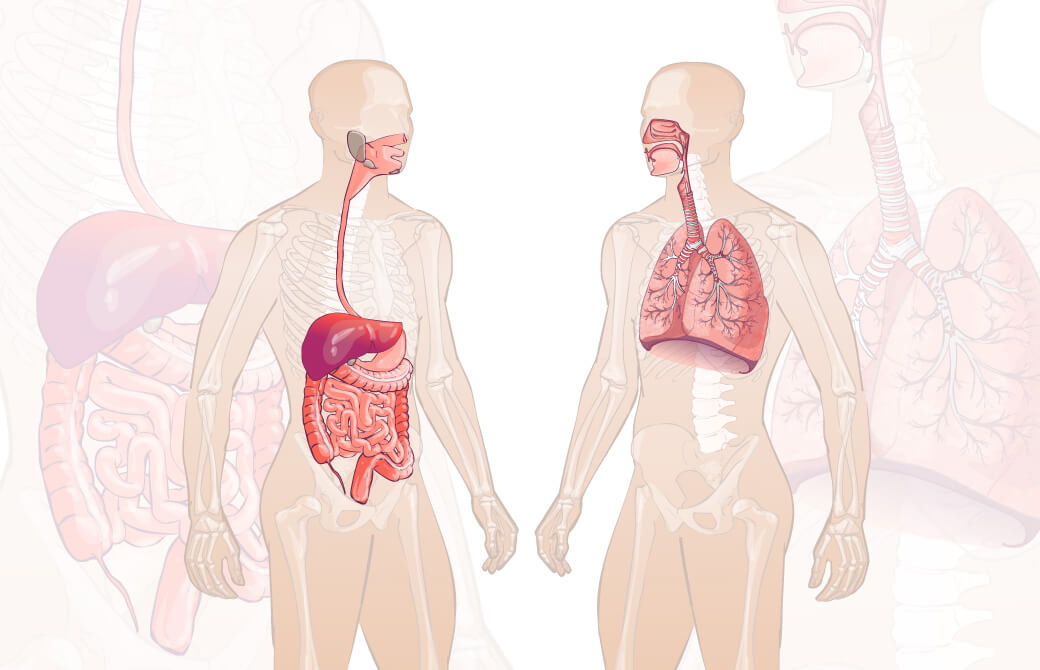 生理学でヨガを更に活用する