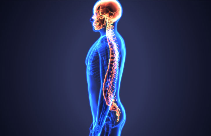 背骨は真っ直ぐじゃない