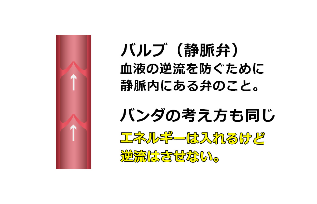 バンダのエネルギーのお話