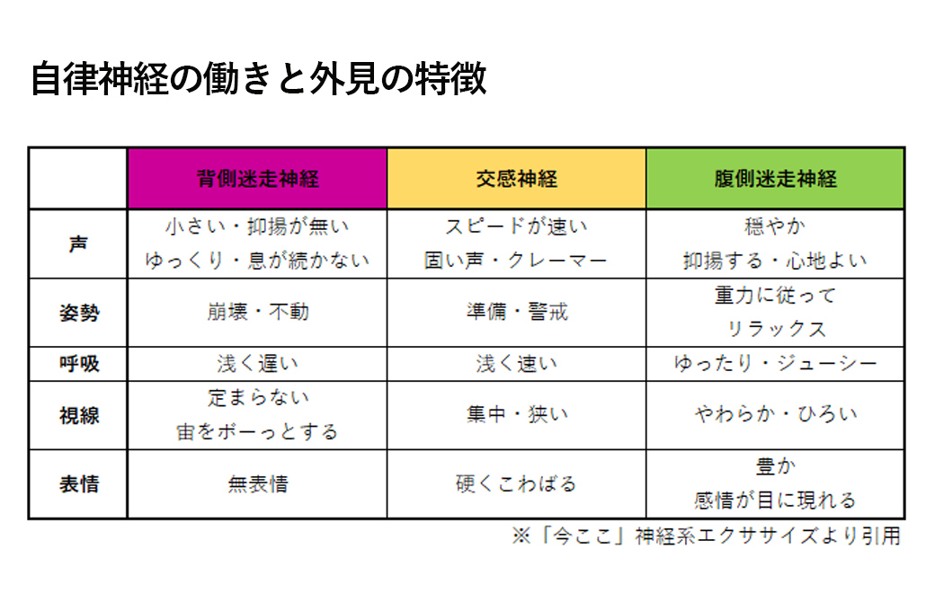 自律神経の働きと外見の特徴