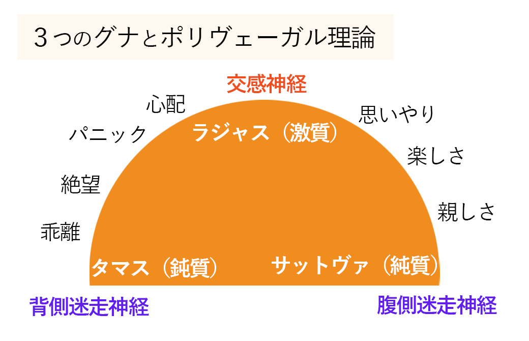 3つのグナとポリヴェーガル理論