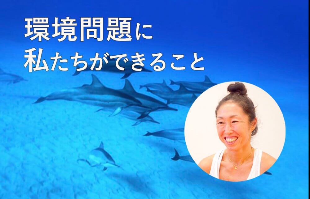 トリさんがハワイの海で撮影したイルカ
