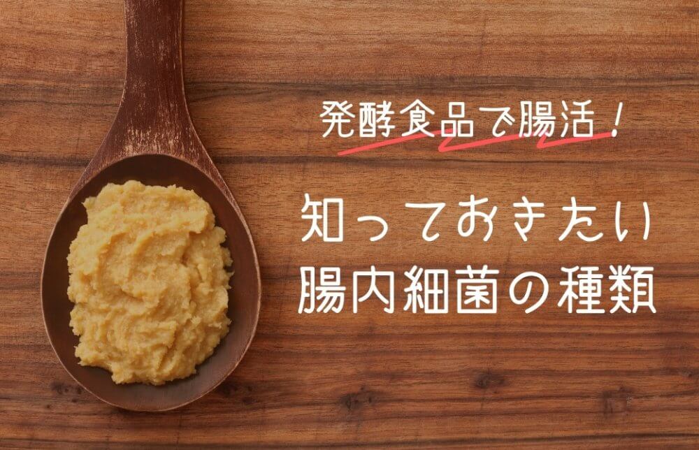 腸内細菌
