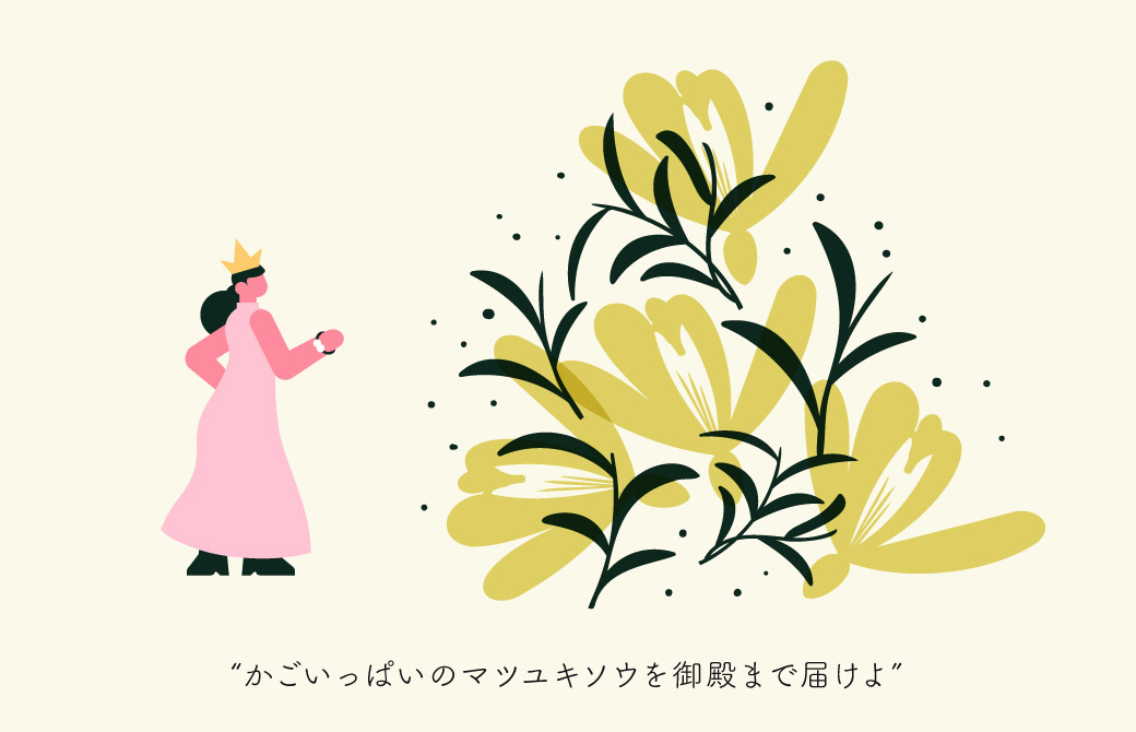 真冬のマツユキソウ