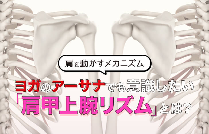 肩を動かすメカニズム〜ヨガのアーサナでも意識したい「肩甲上腕リズム」とは？〜