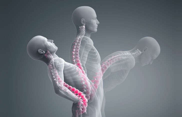 横から見た人の脊柱の動き