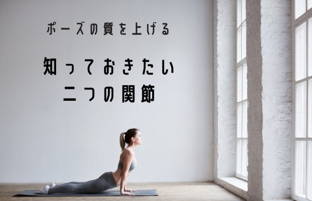 二つの関節cover