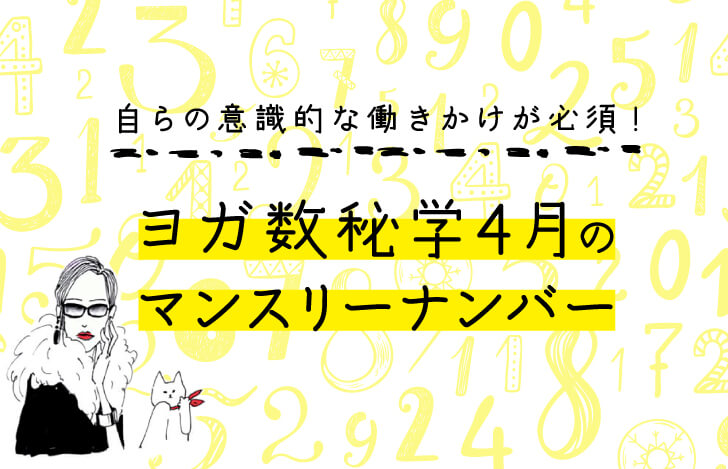 記事タイトルとマダムYUKOと猫