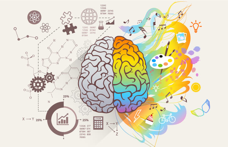 右脳と左脳の働きのイメージ