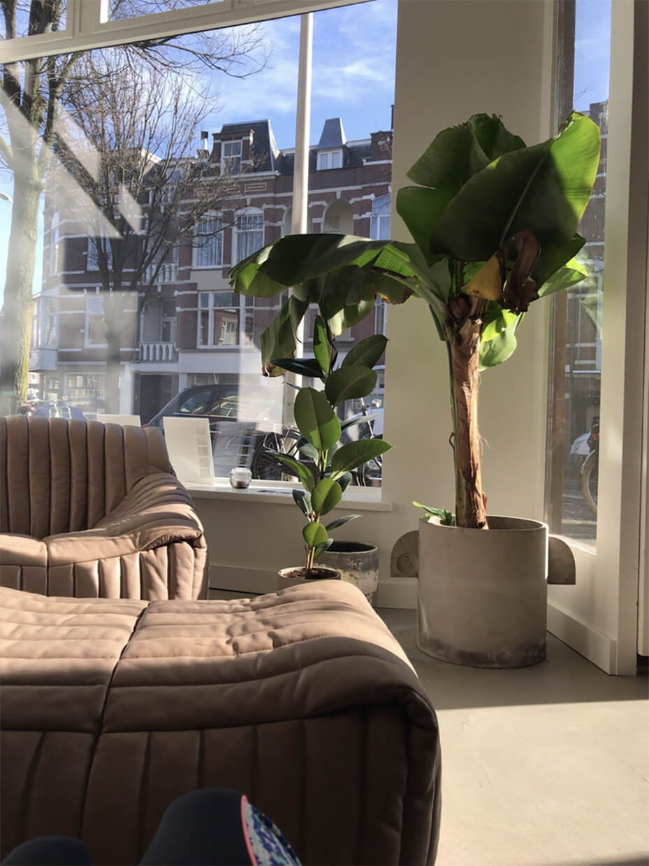 朝ヨガの前に本を読みながらくつろぐ様子