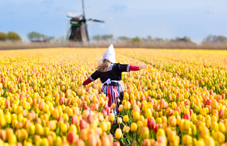 チューリップ畑の中を歩く少女の後ろ姿
