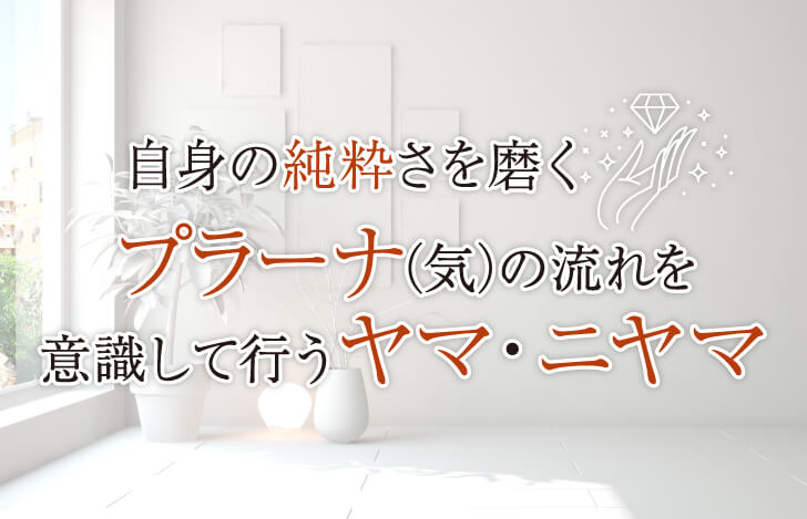 白い花瓶と観葉植物が置かれた白い部屋
