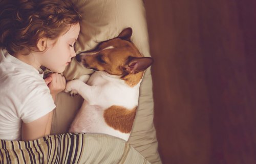 犬と子どもの寝顔