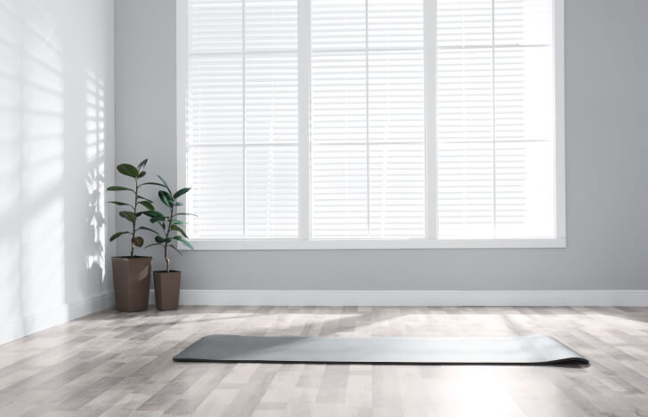 植物とヨガマットだけがある室内