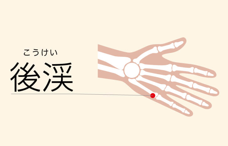 『小腸』の経絡「後渓」