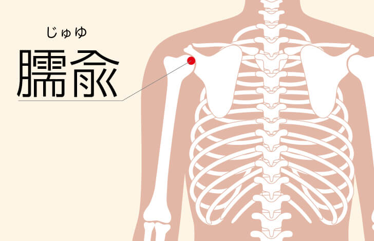 『小腸』の経絡「臑兪」