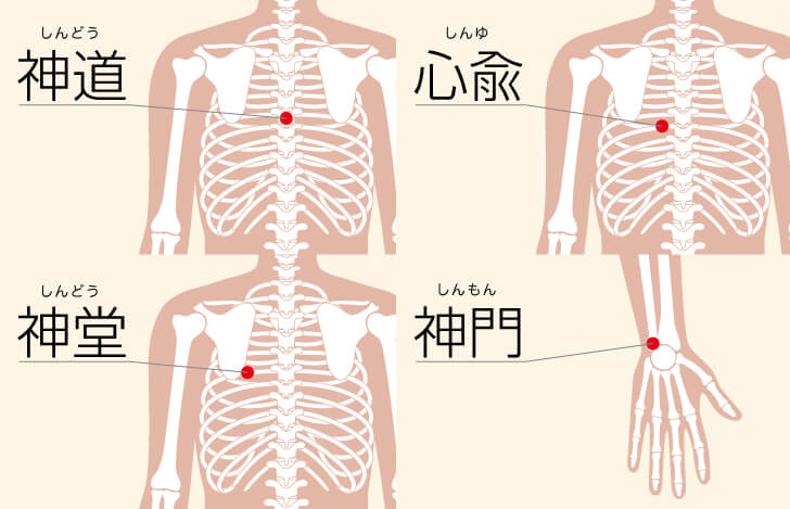 経絡のツボ『神道』『心兪』『神堂』『神門』